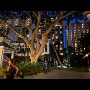 Meet your Posher, Bailey